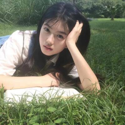 欢乐树的朋友们